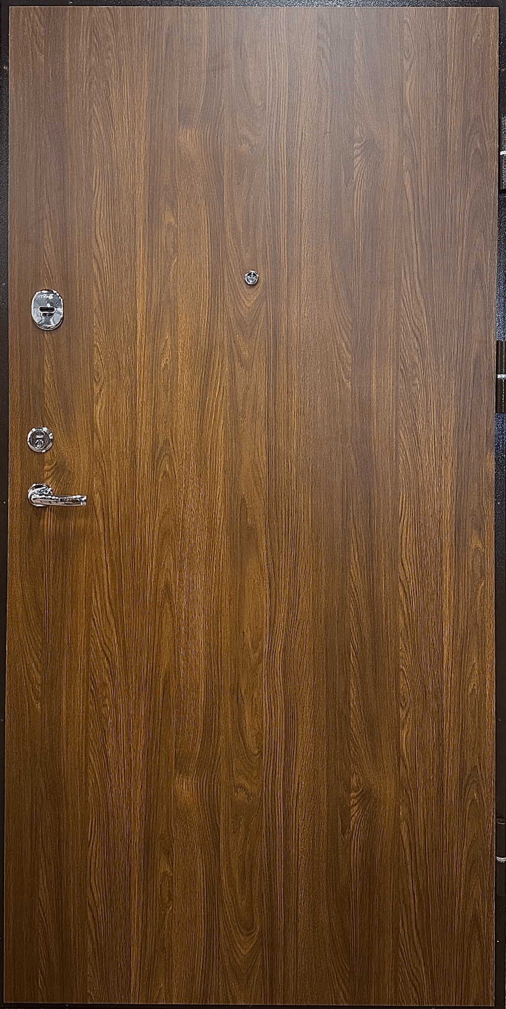 Buto durys „Šarvuva Premium” 2070x1050mm 丨 AKCIJA 丨 5972 丨 Dierre 6000 丨 Dorma712丨