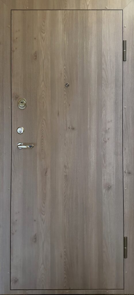 Buto durys „Trakai” 2040x850mm 丨 P-4 丨 ‎ ‎ MOT 48706 丨 Dorma712丨