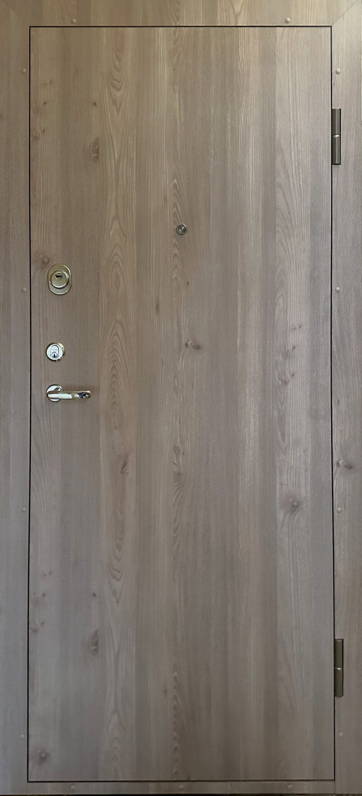 Buto durys „Trakai” 2040x850mm 丨 P-4 丨   MOT 48706 丨 Dorma712丨